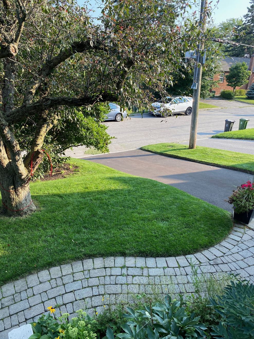 Professional service business transformation